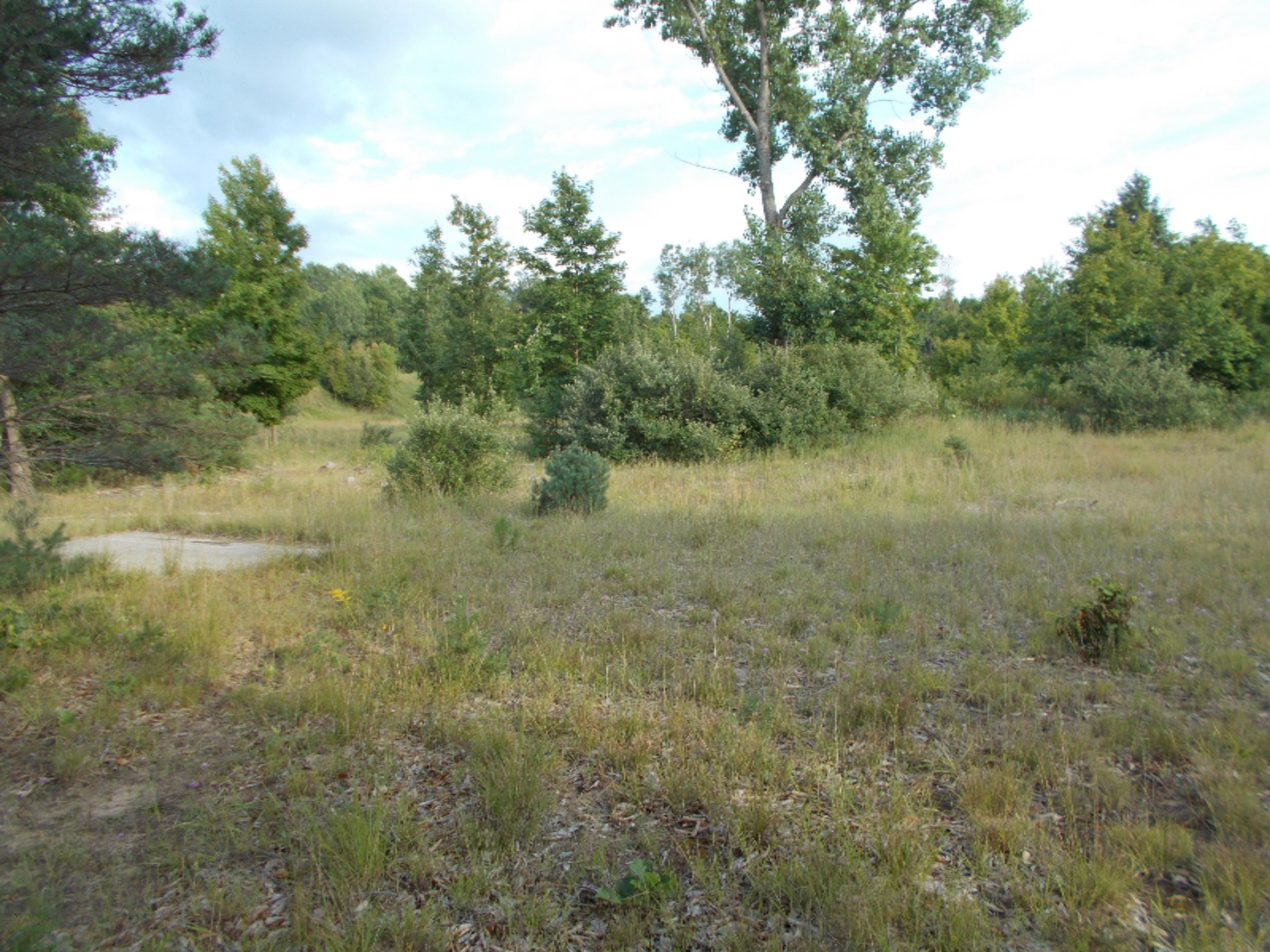 9032 North Custer Road Free Soil, MI 49411 - Photo 5 of 14 miszynski 005