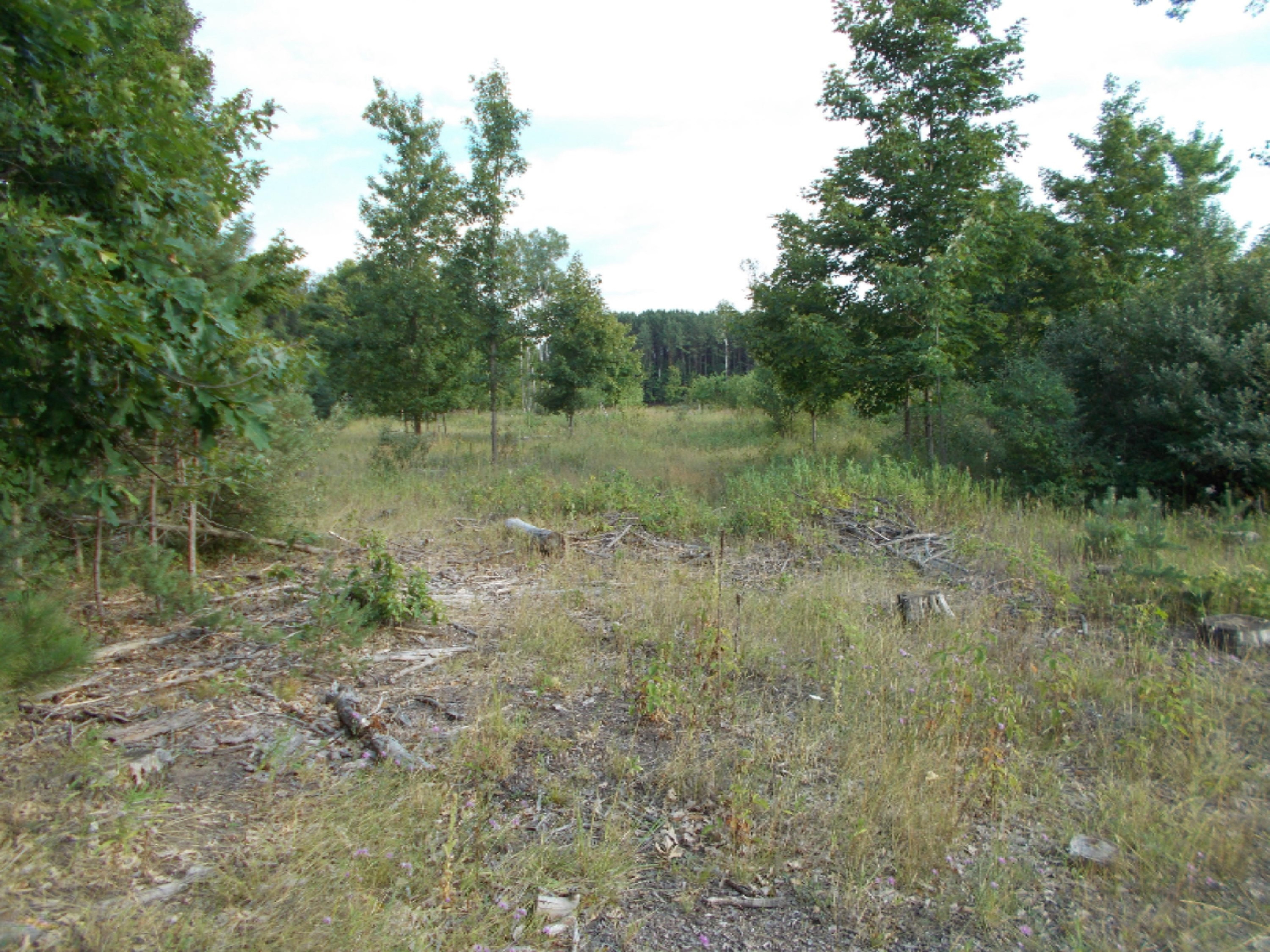 9032 North Custer Road Free Soil, MI 49411 - Photo 6 of 14 miszynski 006