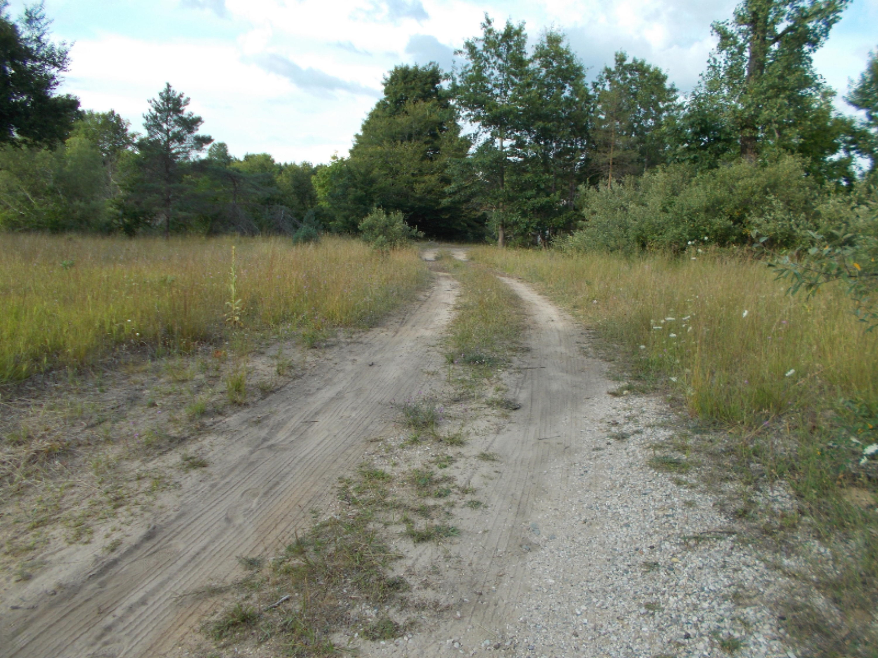 9032 North Custer Road Free Soil, MI 49411 - Photo 8 of 14 miszynski 008
