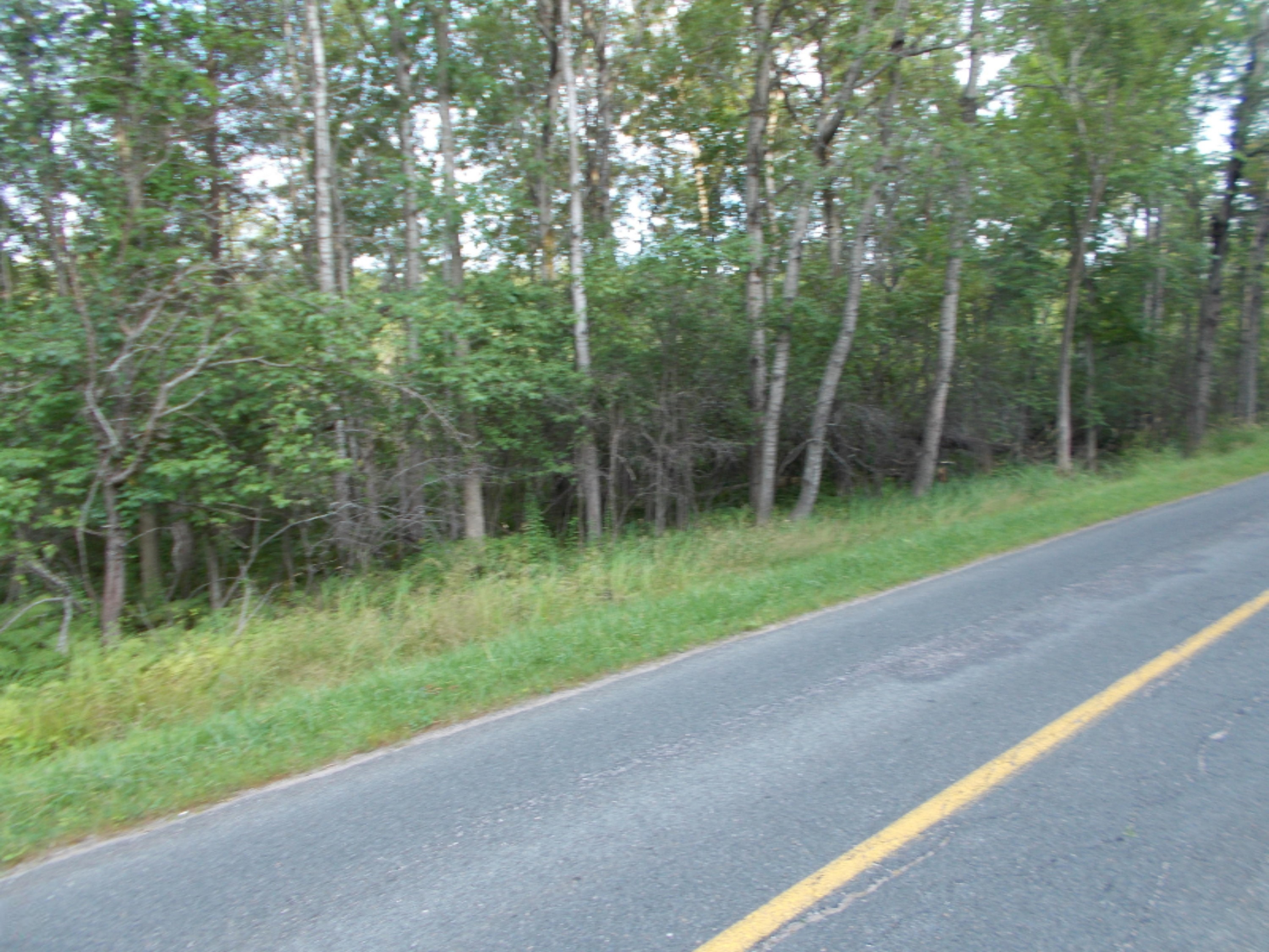 9032 North Custer Road Free Soil, MI 49411 - Photo 10 of 14 miszynski 010