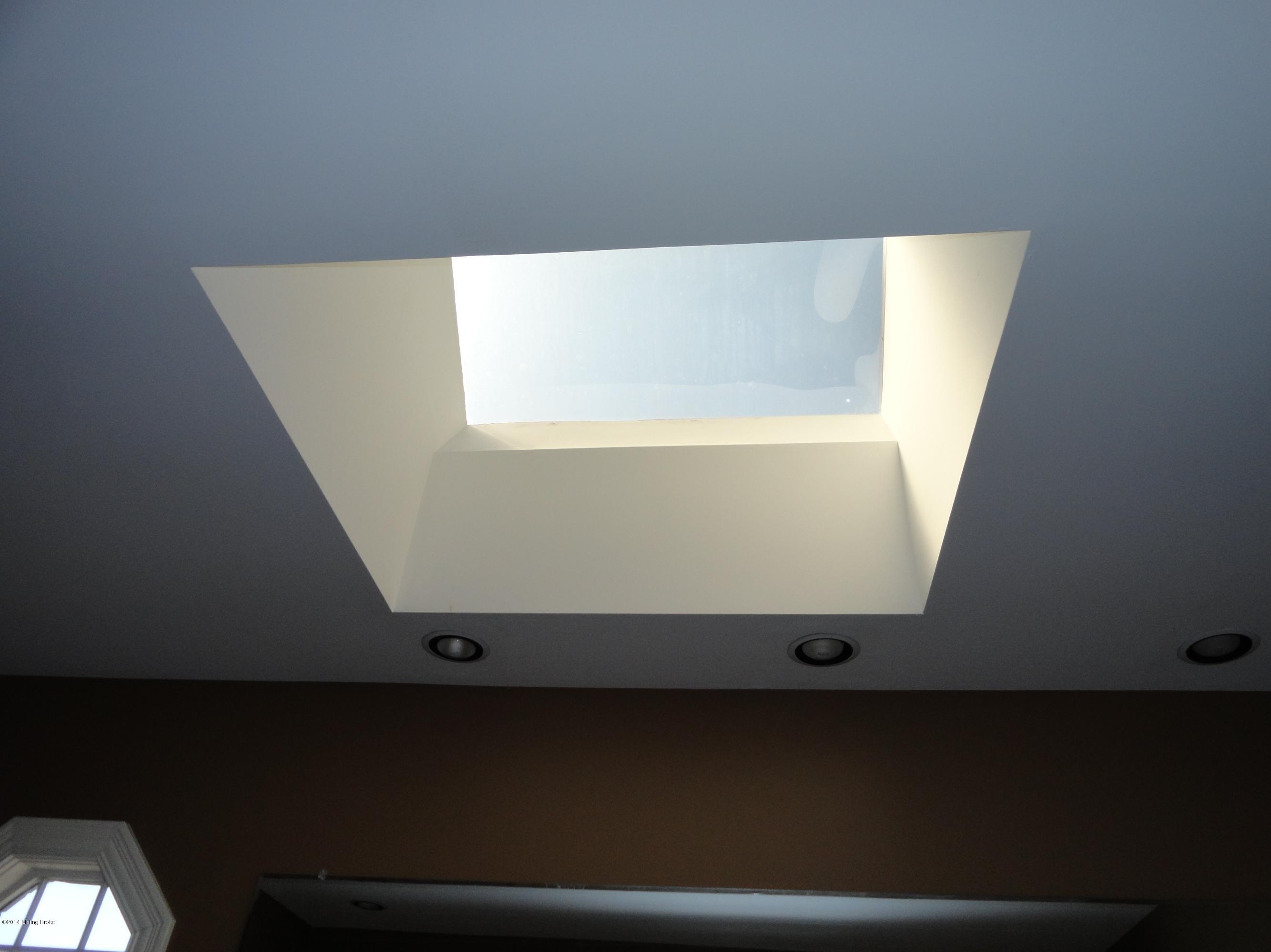 3209 Trail Ridge Road Louisville, KY 40241 - Photo 17 of 47 SKY LIGHT IN MASTER BATH