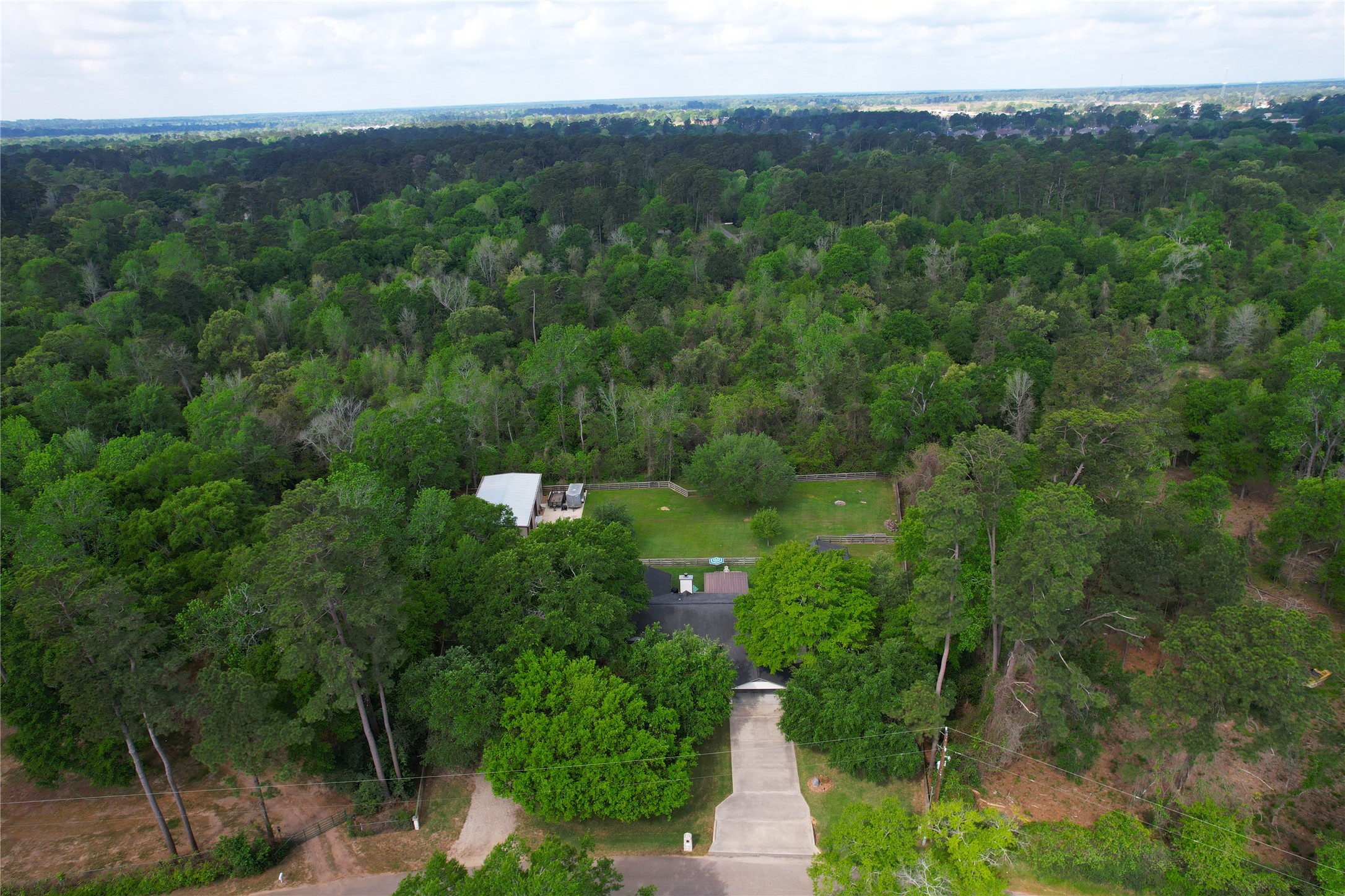 142 Sentinel Oaks Pinehurst, TX 77362 - Photo 40 of 41 a view of a lush green forest with trees and some houses