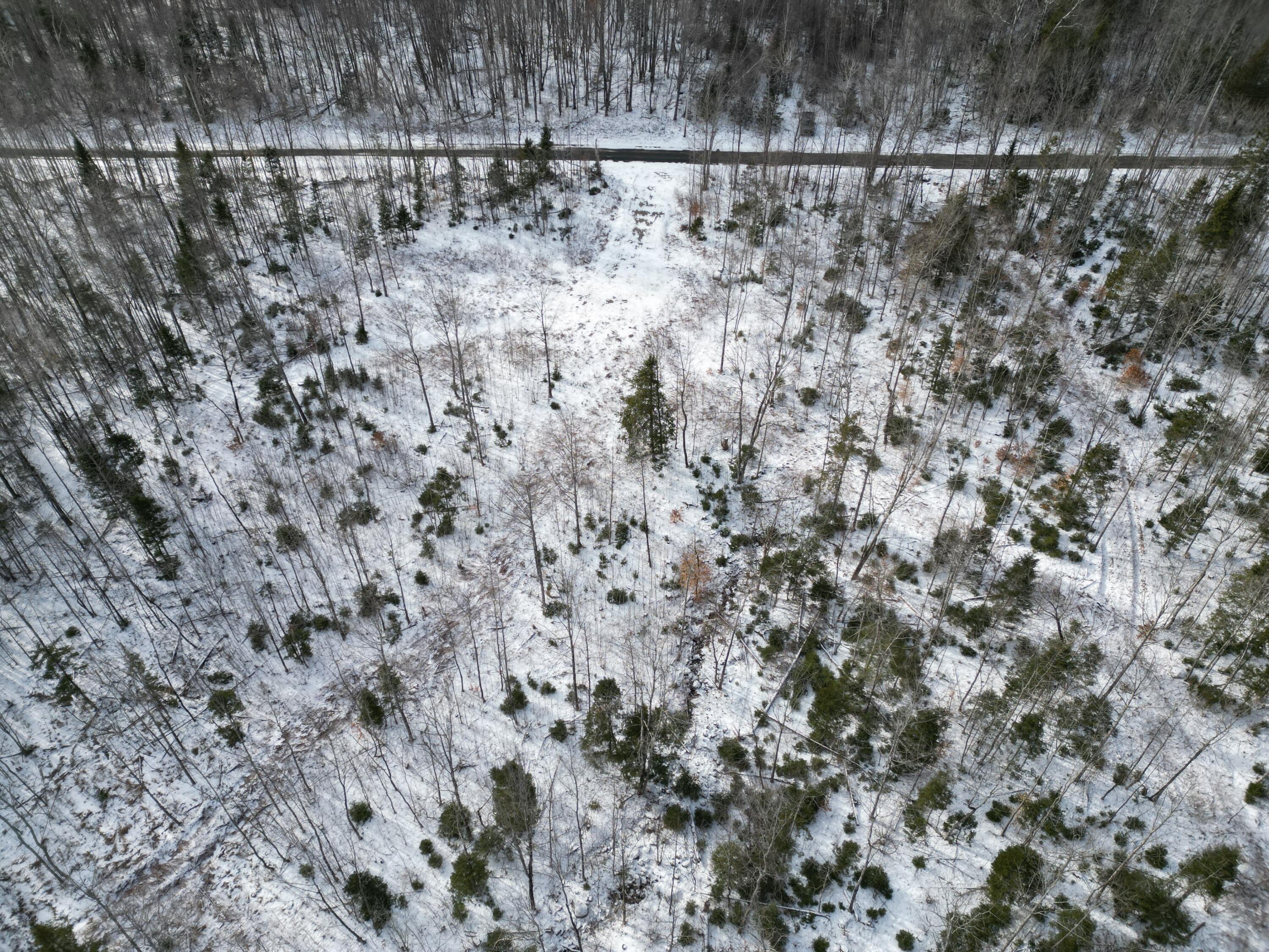 Tbd Day Road Lincoln, ME 04457 - Photo 4 of 14 DJI_0004