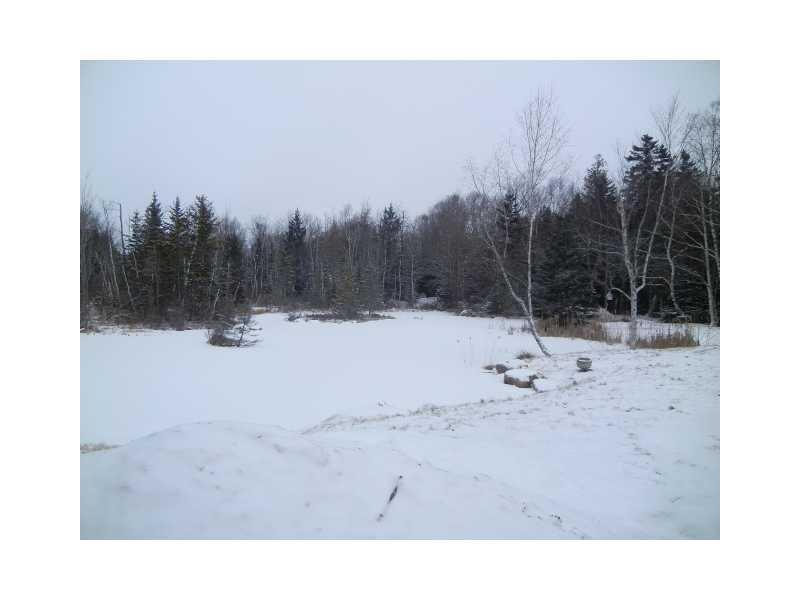 73 Arnold Road Bass Harbor, ME 04653 - Photo 18 of 18 Yard/Garden.