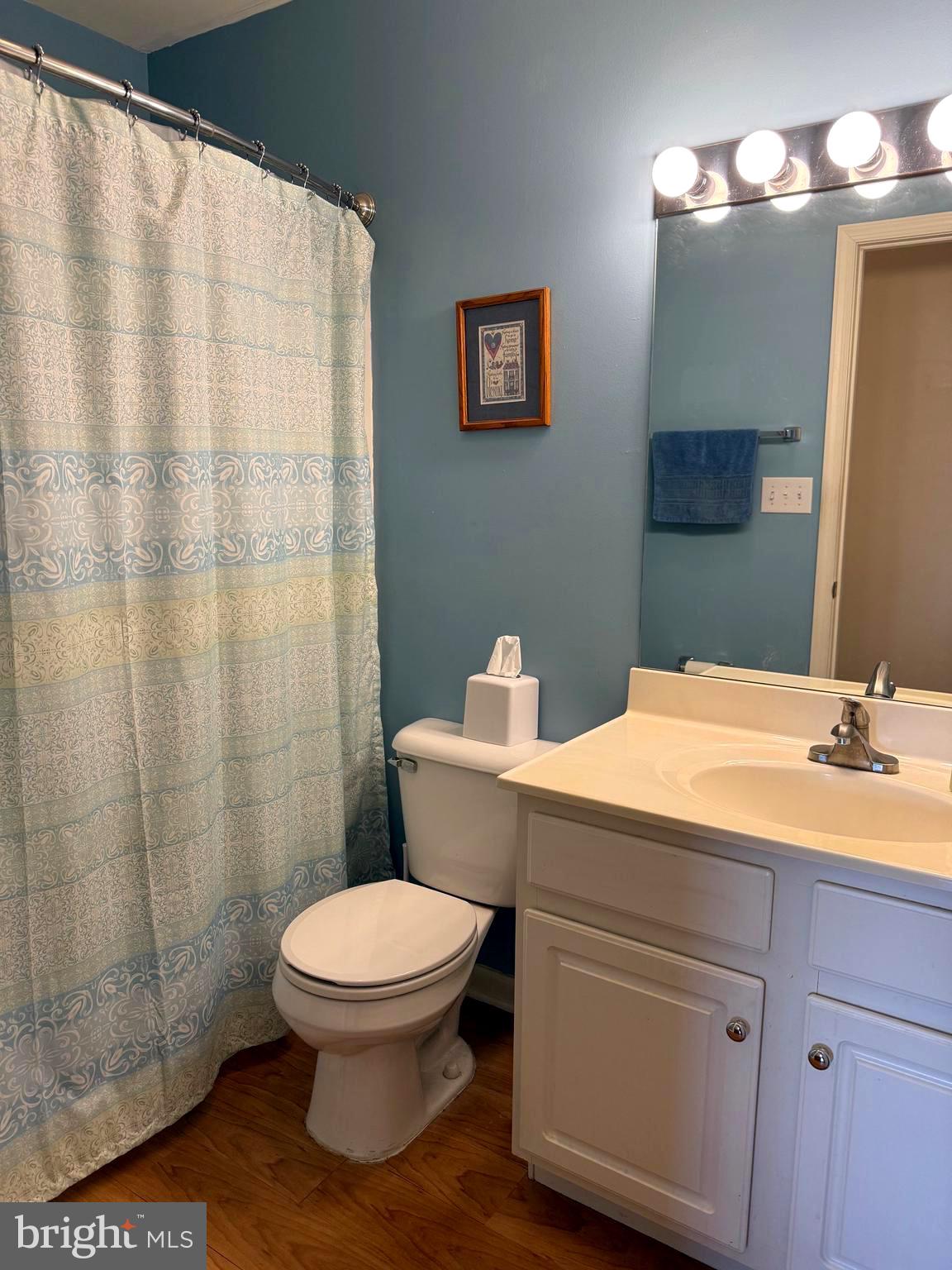 51 Finch Lane Falling Waters, WV 25419 - Photo 27 of 37 a bathroom with a toilet a sink and a mirror