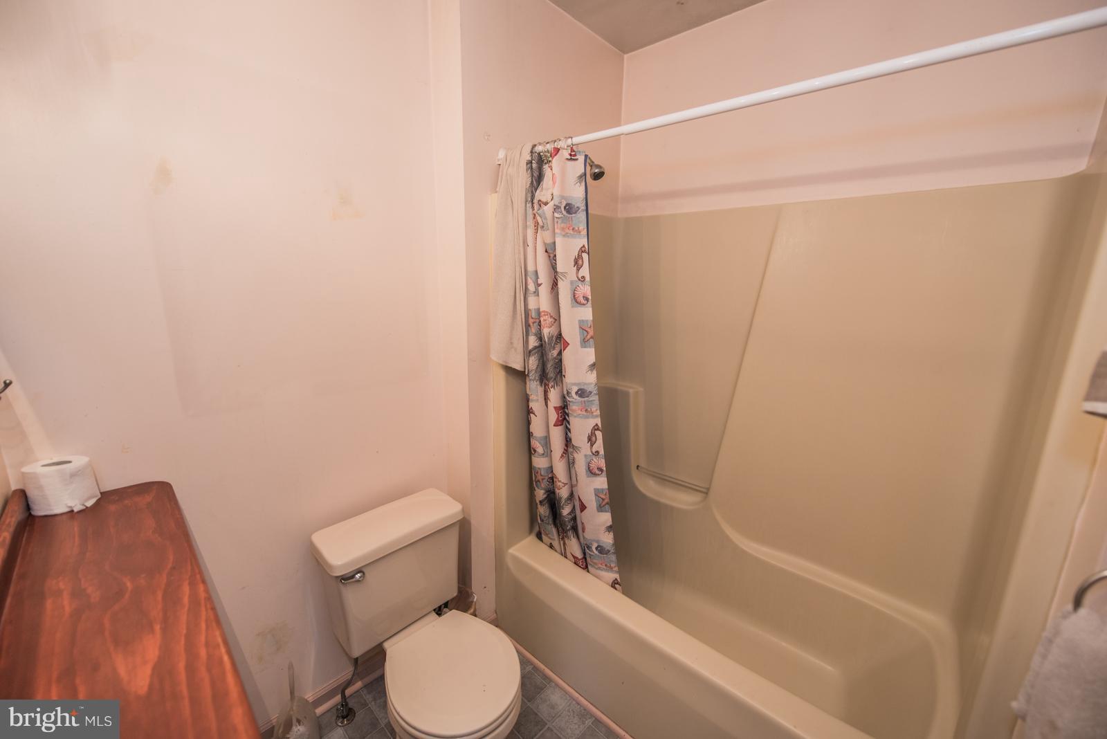 115 East 2nd Avenue Ranson, WV 25438 - Photo 24 of 30 Bath