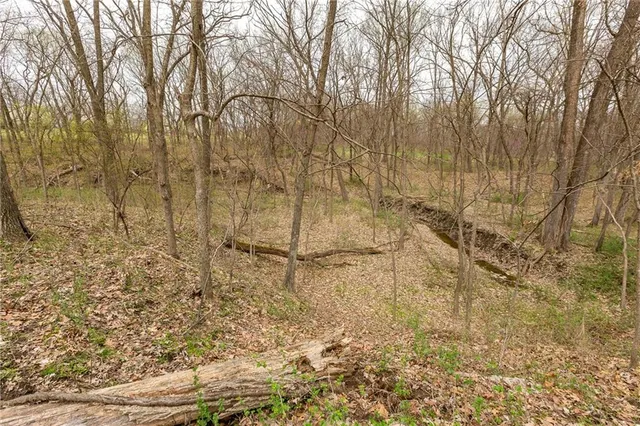 $530,000 | 14400 Stringtown Ct Lake, Greenwood, MO 64034