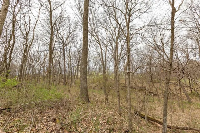 $530,000 | 14400 Stringtown Ct Lake, Greenwood, MO 64034