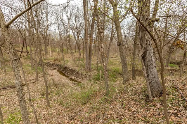 $530,000 | 14400 Stringtown Ct Lake, Greenwood, MO 64034