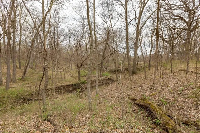 $530,000 | 14400 Stringtown Ct Lake, Greenwood, MO 64034