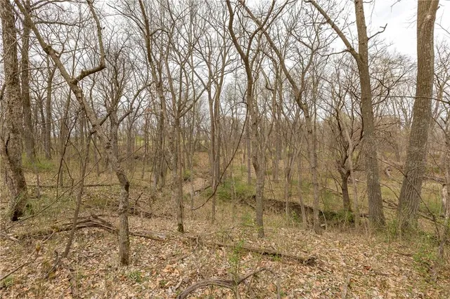 $530,000 | 14400 Stringtown Ct Lake, Greenwood, MO 64034