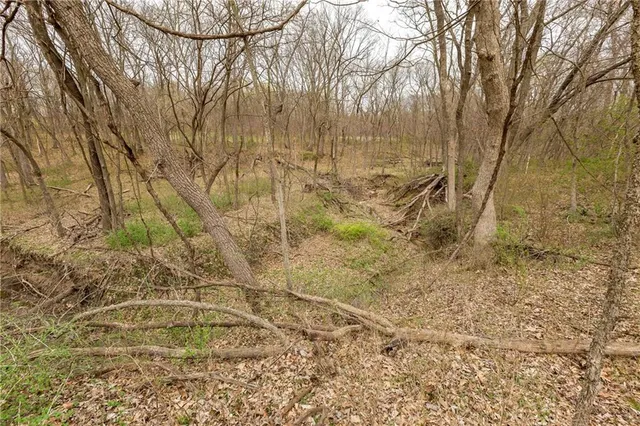 $530,000 | 14400 Stringtown Ct Lake, Greenwood, MO 64034