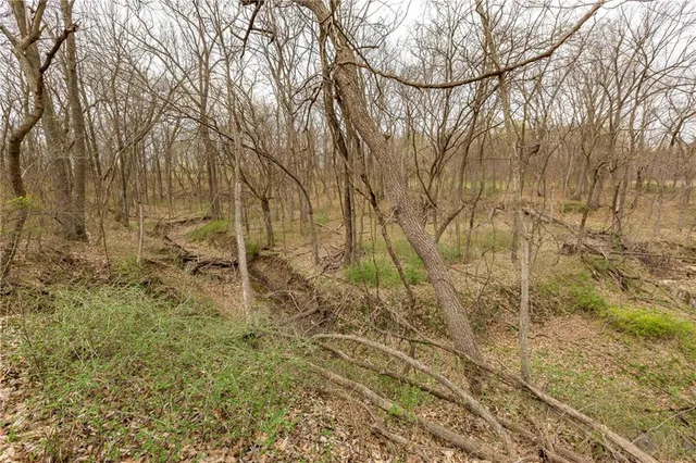 $530,000 | 14400 Stringtown Ct Lake, Greenwood, MO 64034