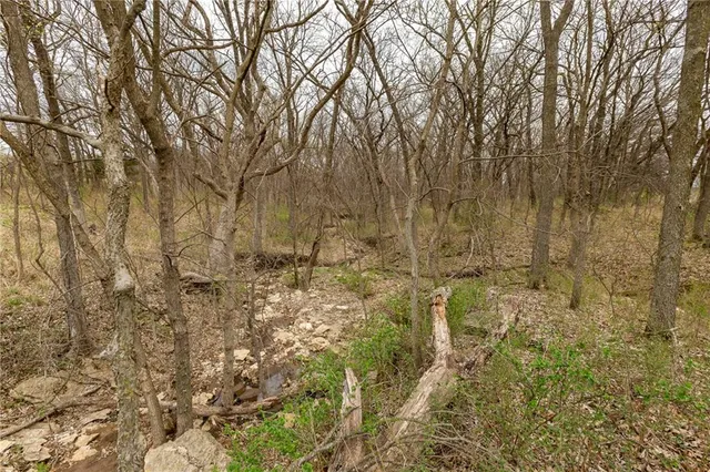 $530,000 | 14400 Stringtown Ct Lake, Greenwood, MO 64034