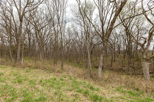 $530,000 | 14400 Stringtown Ct Lake, Greenwood, MO 64034