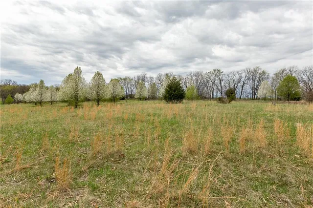 $530,000 | 14400 Stringtown Ct Lake, Greenwood, MO 64034