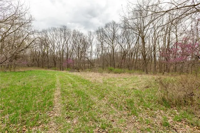 $530,000 | 14400 Stringtown Ct Lake, Greenwood, MO 64034