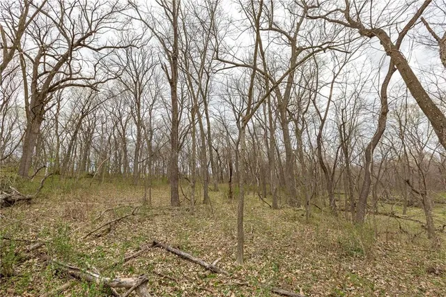 $530,000 | 14400 Stringtown Ct Lake, Greenwood, MO 64034