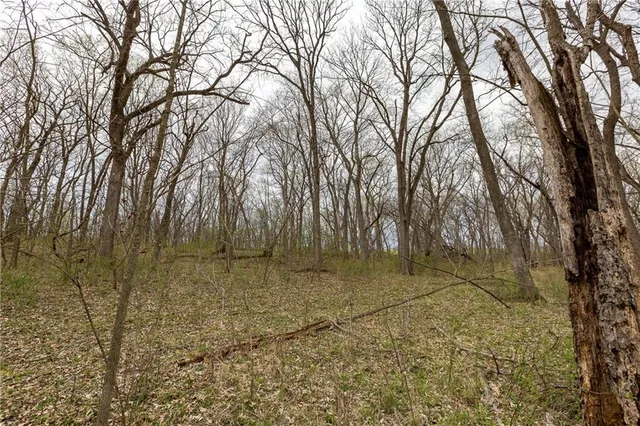 $530,000 | 14400 Stringtown Ct Lake, Greenwood, MO 64034