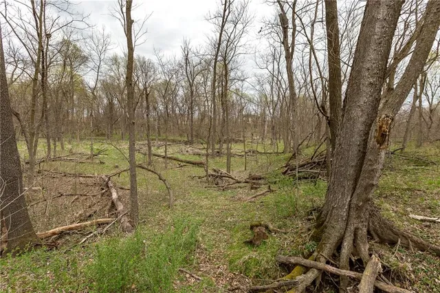 $530,000 | 14400 Stringtown Ct Lake, Greenwood, MO 64034