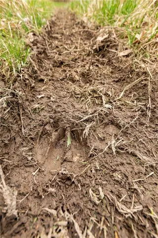 $530,000 | 14400 Stringtown Ct Lake, Greenwood, MO 64034