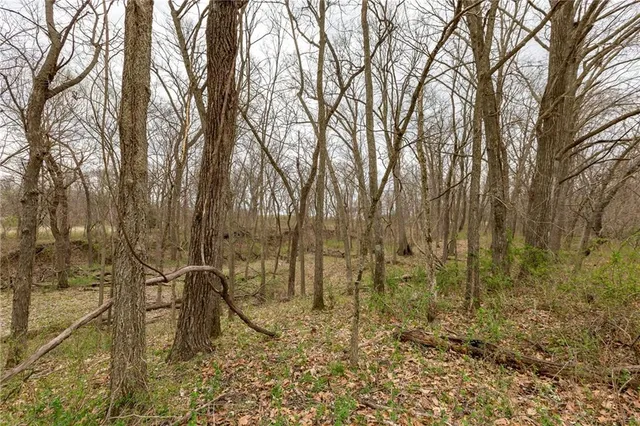 $530,000 | 14400 Stringtown Ct Lake, Greenwood, MO 64034