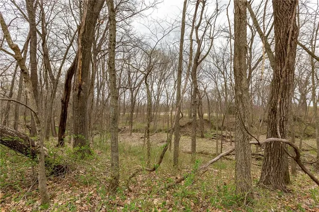 $530,000 | 14400 Stringtown Ct Lake, Greenwood, MO 64034