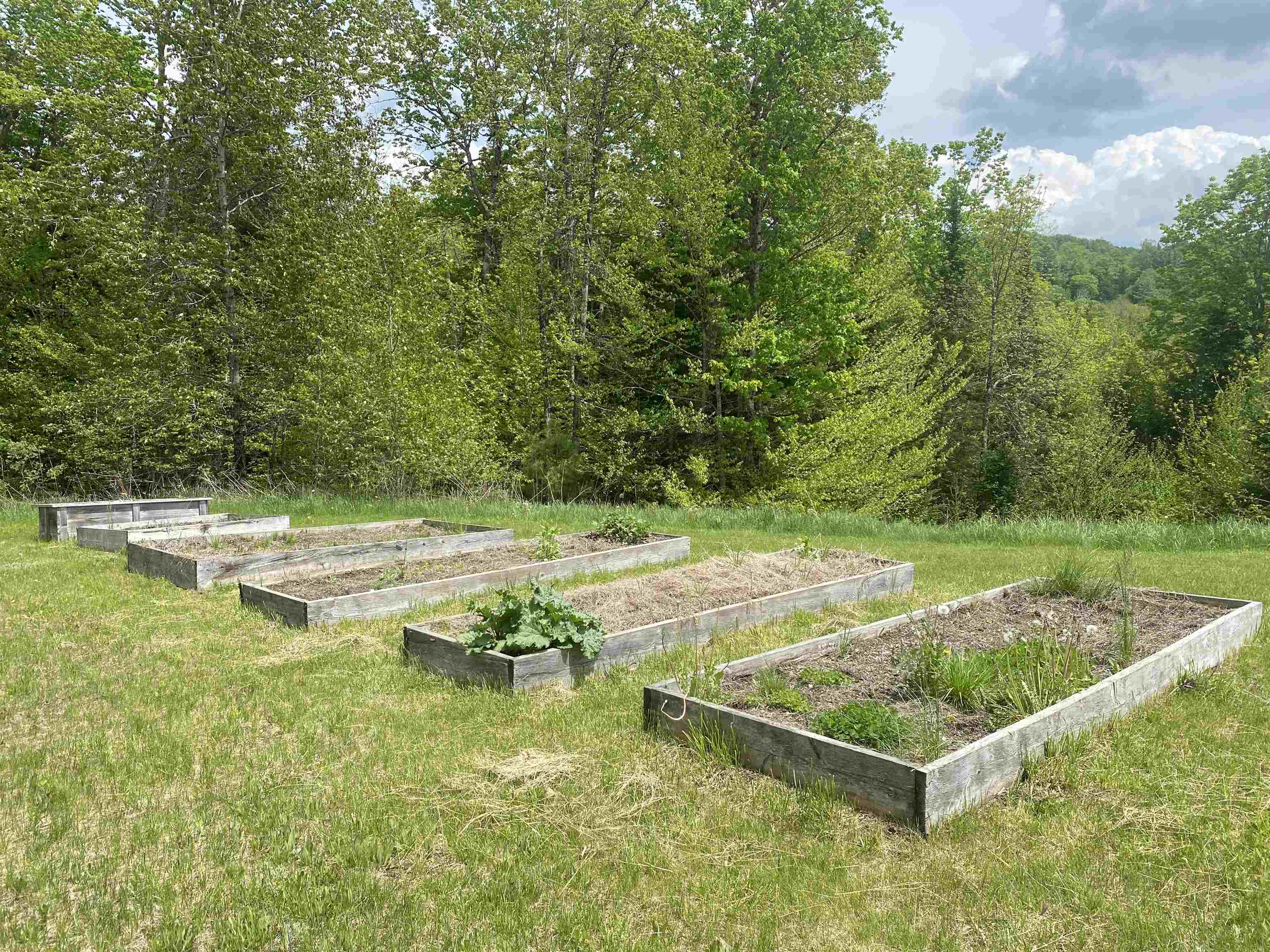 752 Houghton Bridge Road St. Johnsbury, VT 05819 - Photo 4 of 57