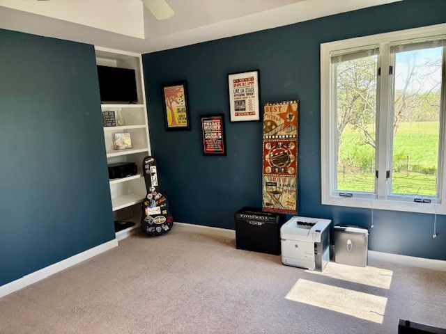 4100 Meadow View Circle Pleasant View, TN 37146 - Photo 49 of 56