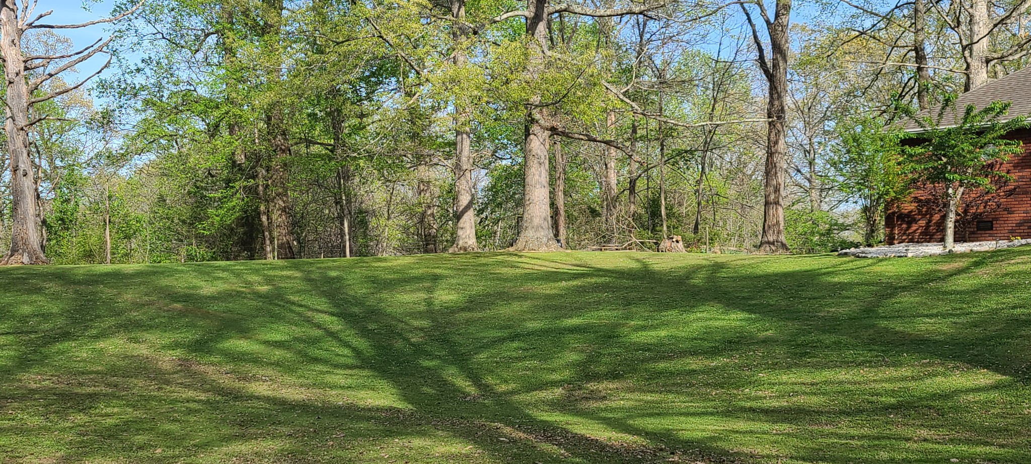 4100 Meadow View Circle Pleasant View, TN 37146 - Photo 10 of 56