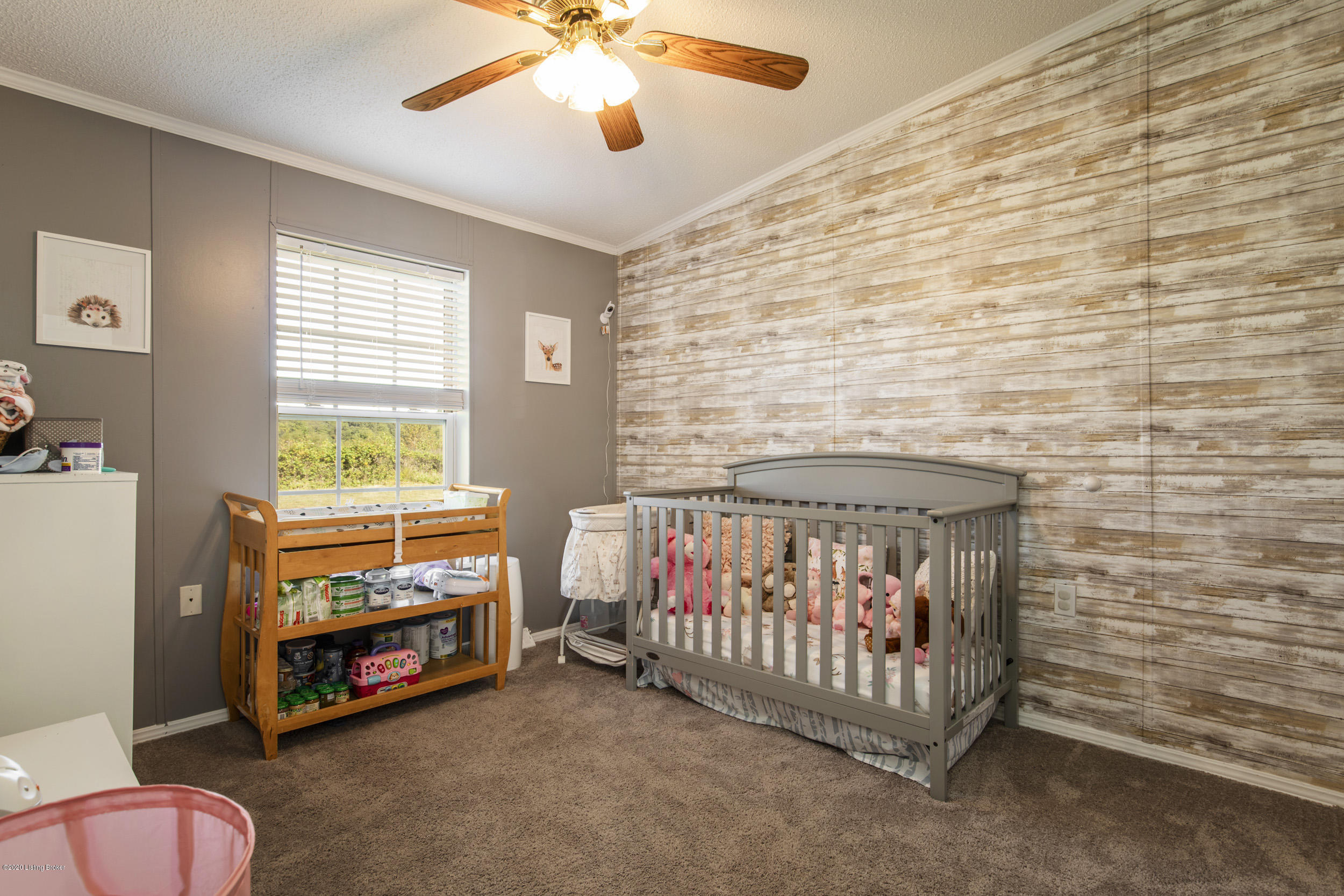 1203 Morrison Road Big Clifty, KY 42712 - Photo 20 of 33 bedroom #2