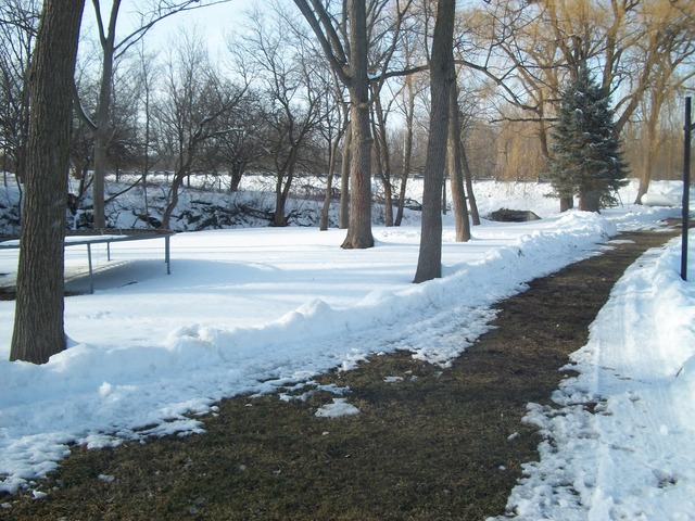 2755 Shaw Road Compton, IL 61318 - Photo 18 of 21 a view of road with trees