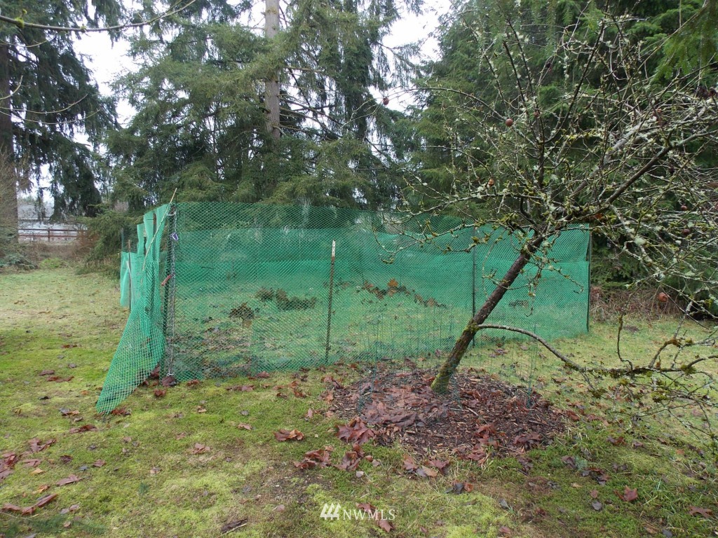 18981 Cook Road Southeast Yelm, WA 98597 - Photo 8 of 21 Gallery Image 8