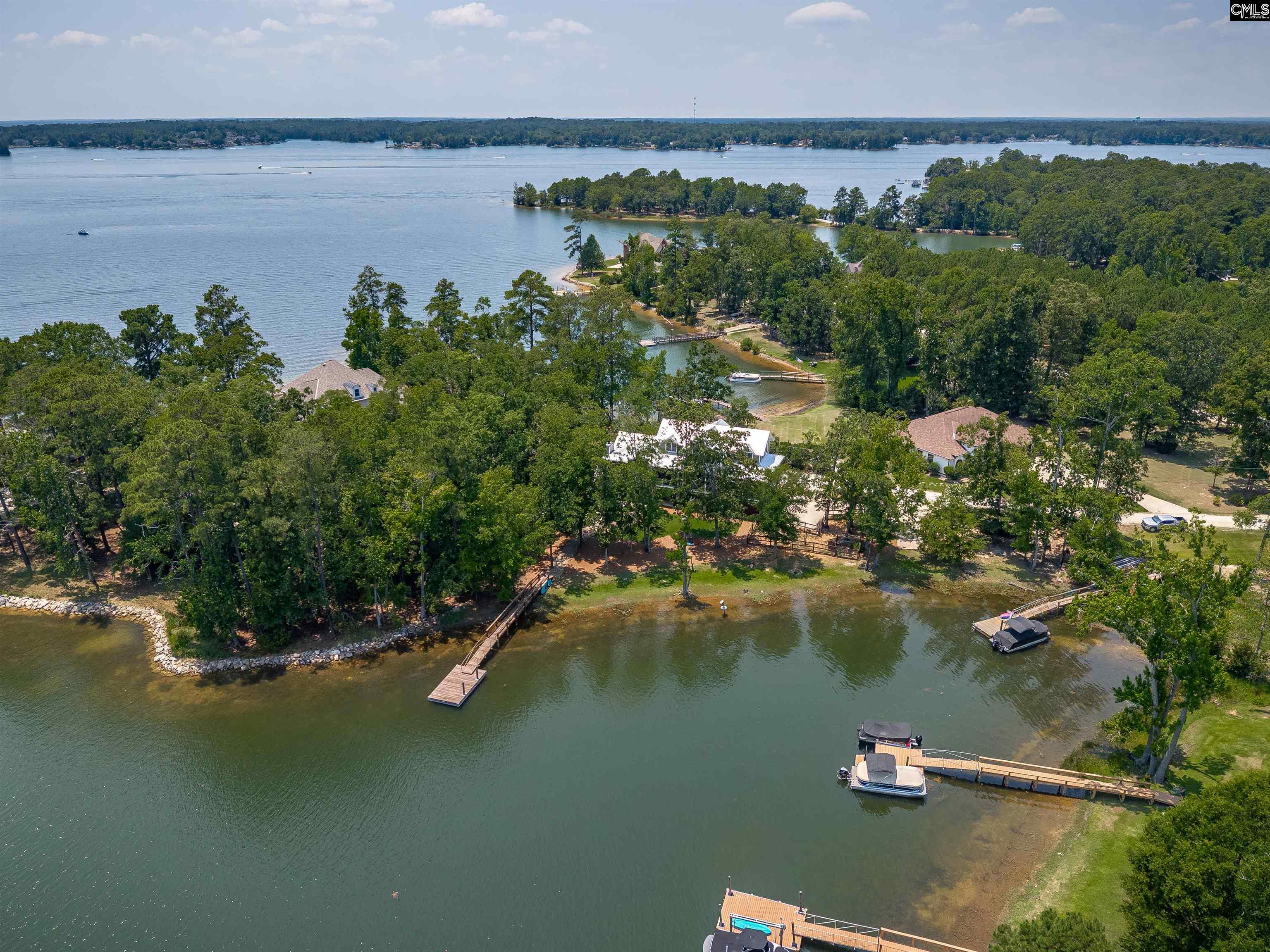 331 3 Point Road Chapin, SC 29036 - Photo 2 of 89