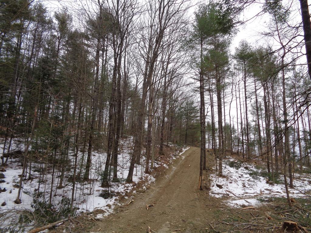 Map 5-lot Map 5-lot Mount Augusta, ME 04330 - Photo 6 of 18 Land/Lot