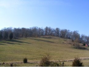 338 Sells Road Bluff City, TN 37618 - Photo 5 of 8 Photo 5