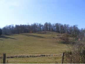 338 Sells Road Bluff City, TN 37618 - Photo 7 of 8 Photo 7