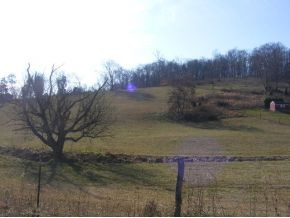 338 Sells Road Bluff City, TN 37618 - Photo 8 of 8 Photo 8