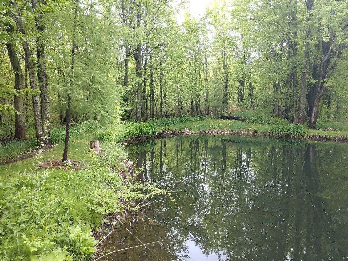 903 12 Mile Road Northwest Sparta, MI 49345 - Photo 35 of 43 image000000 3