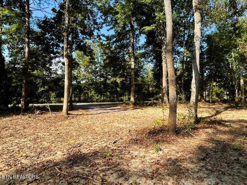 3 Pleasant Hill Road Ten Mile, TN 37880 - Photo 3 of 13