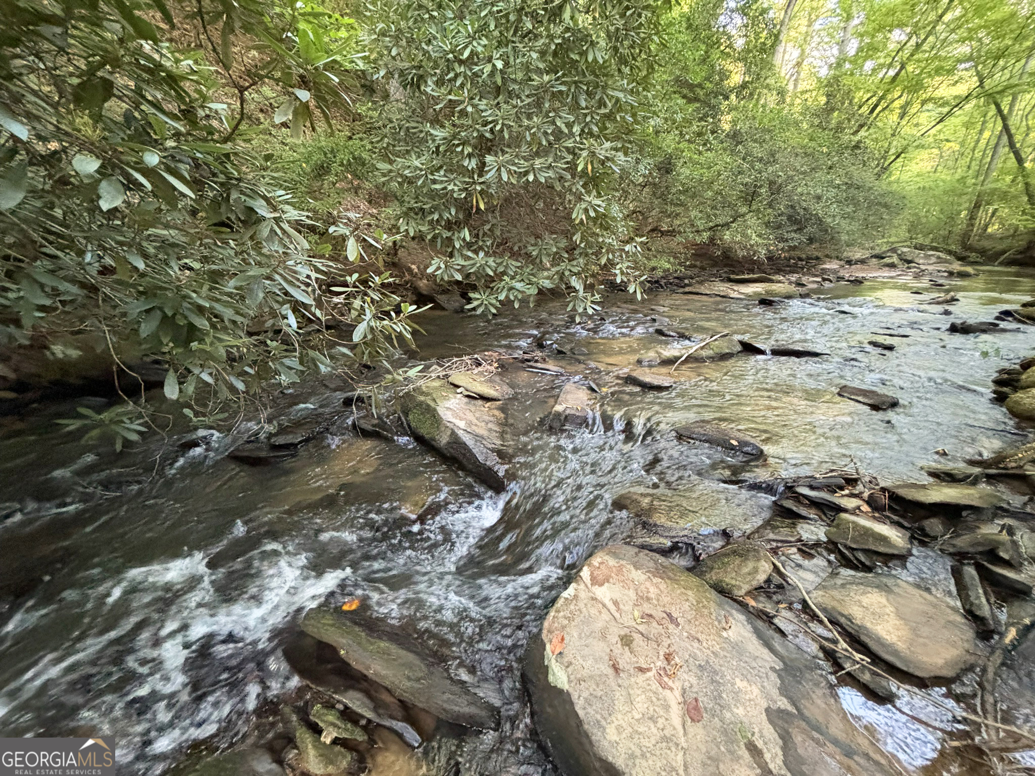 Lot 18 Mt Springer Road Ellijay, GA 30540 - Photo 14 of 31