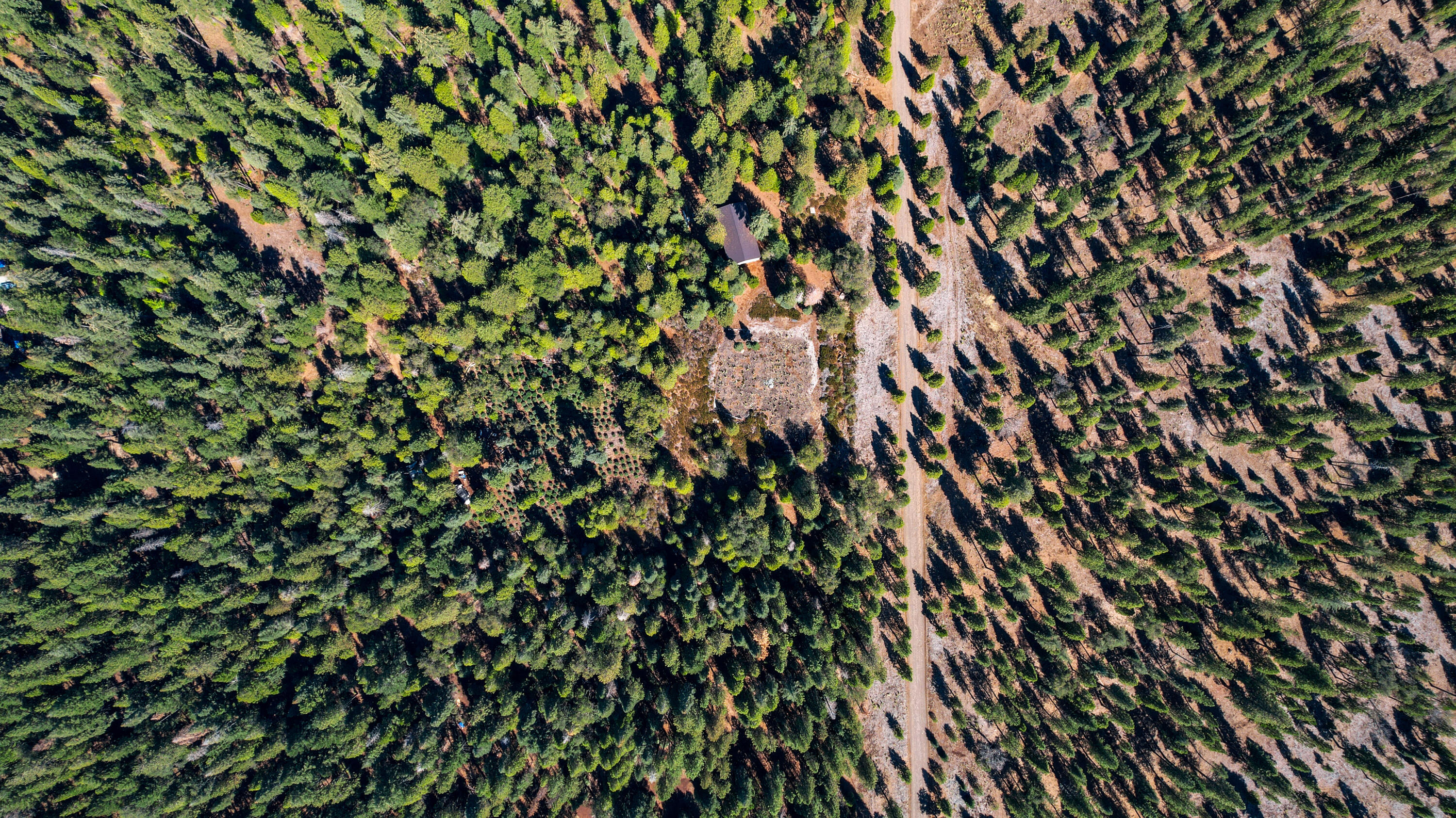 32995 Alinn Pass Road Shingletown, CA 96088 - Photo 4 of 10 Drone View