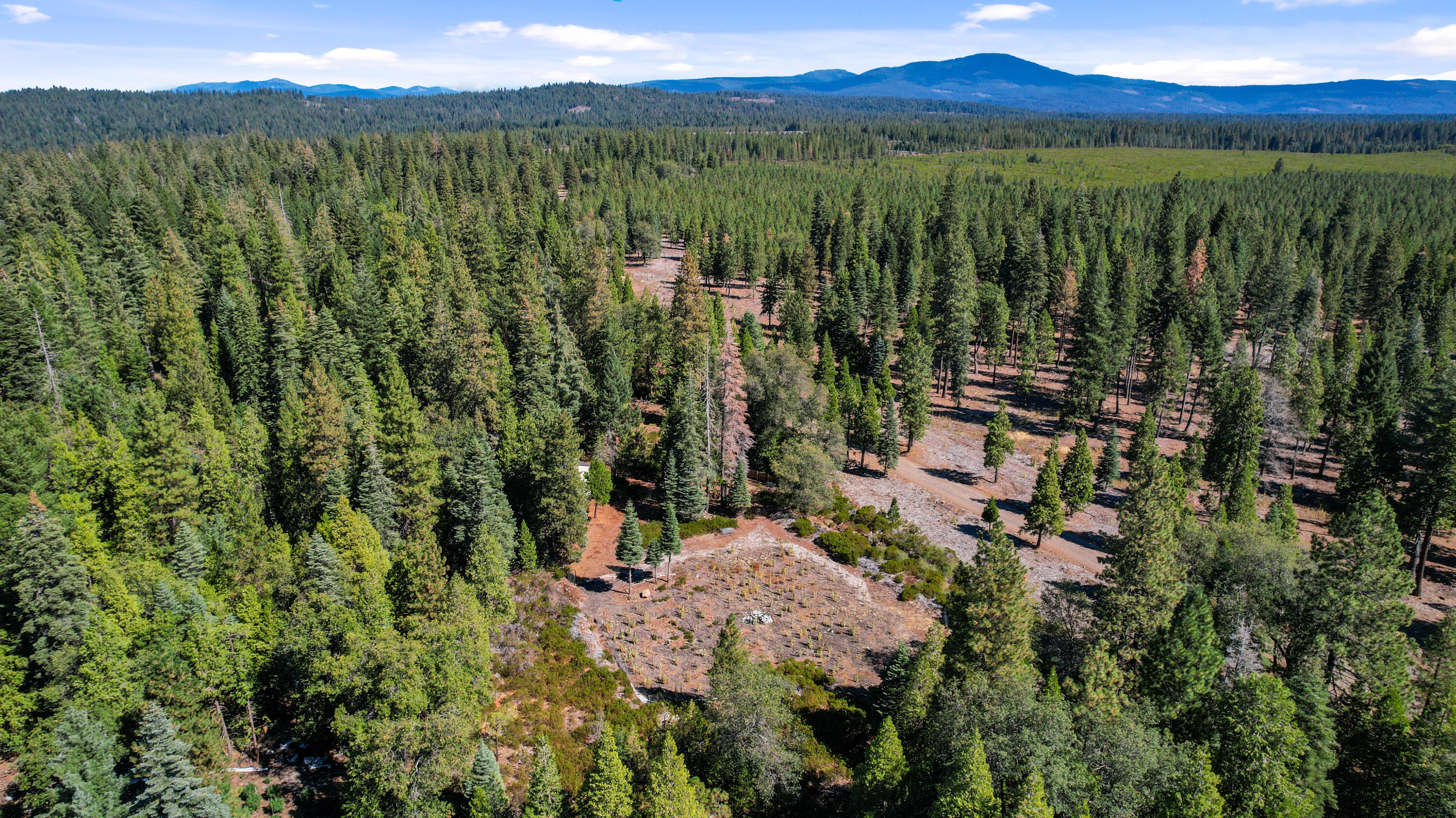 32995 Alinn Pass Road Shingletown, CA 96088 - Photo 5 of 10 Drone View