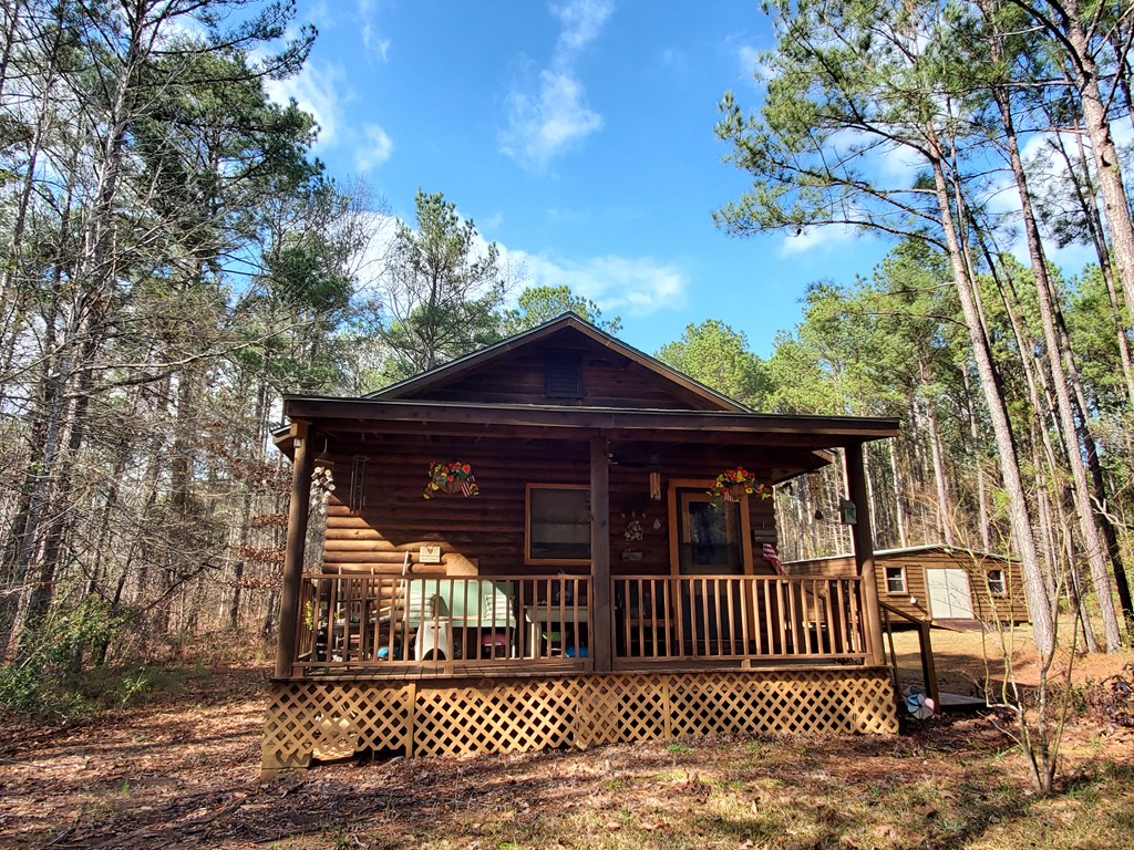 161 Dowdell Mill Road Hamilton, GA 31811 - Photo 26 of 32 Gallery Image 26