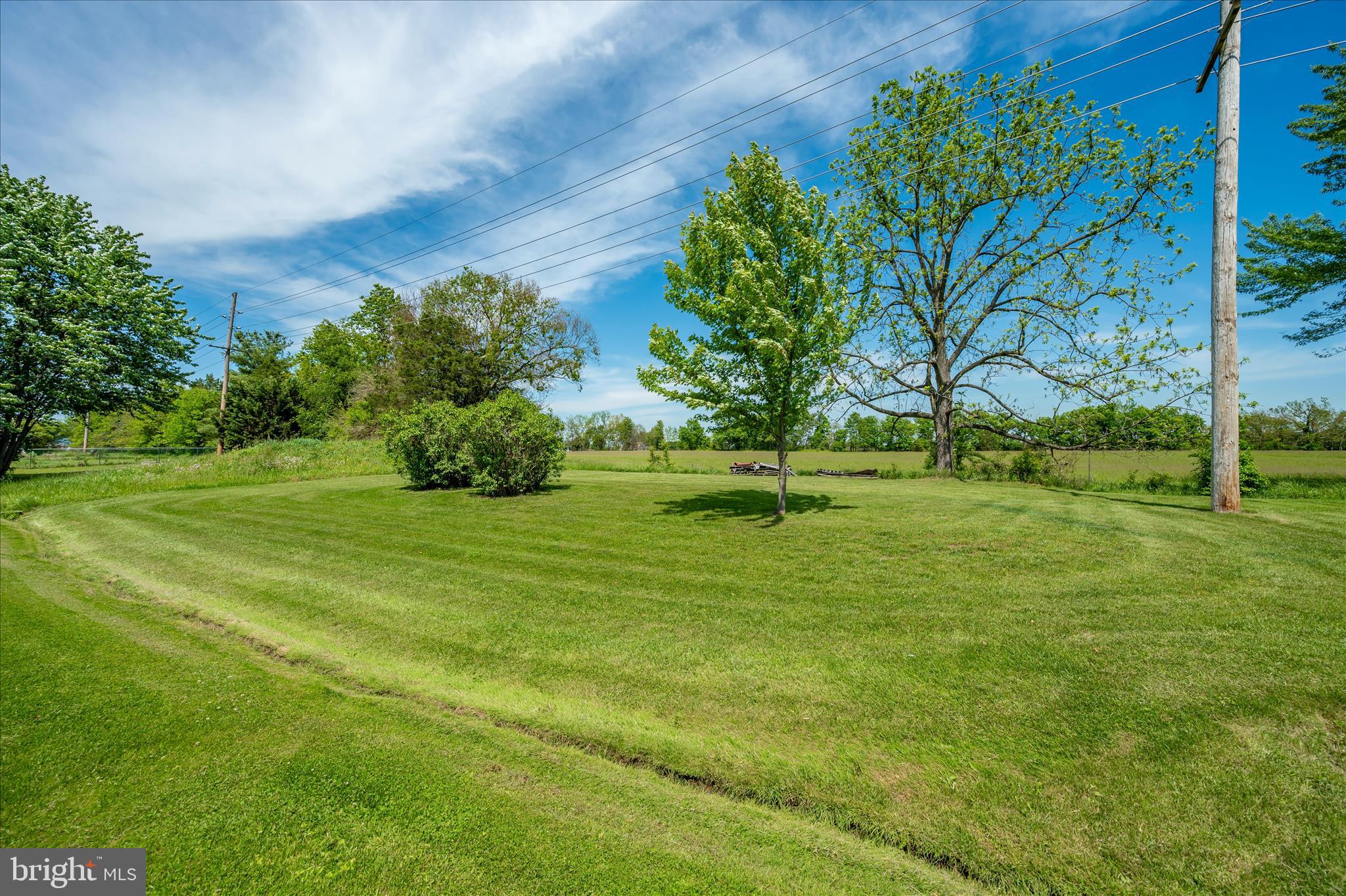11205 Hessong Bridge Road Thurmont, MD 21788 - Photo 65 of 69 a view of a park with large trees