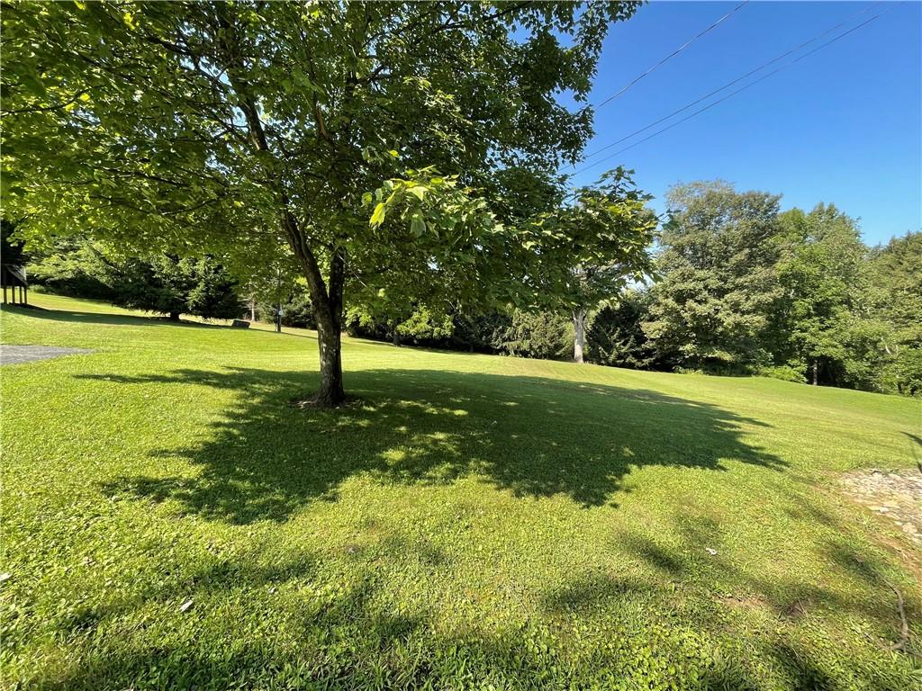 656 Cheese Run Road Indiana, PA 15701 - Photo 14 of 16 a view of a park with large trees