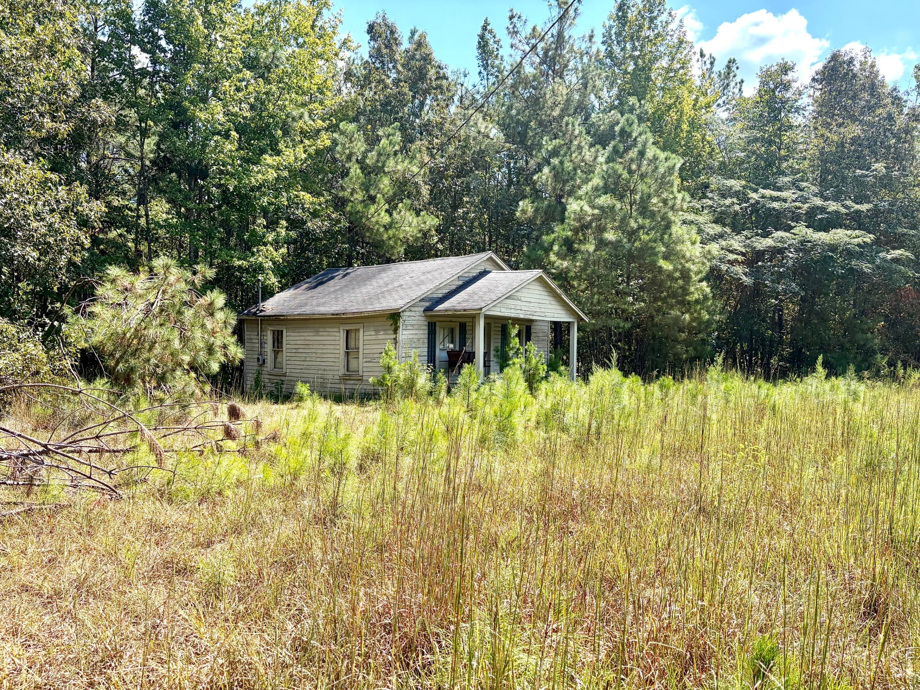 343 Co Road Glen, MS 38846 - Photo 4 of 4 Gallery Image 4