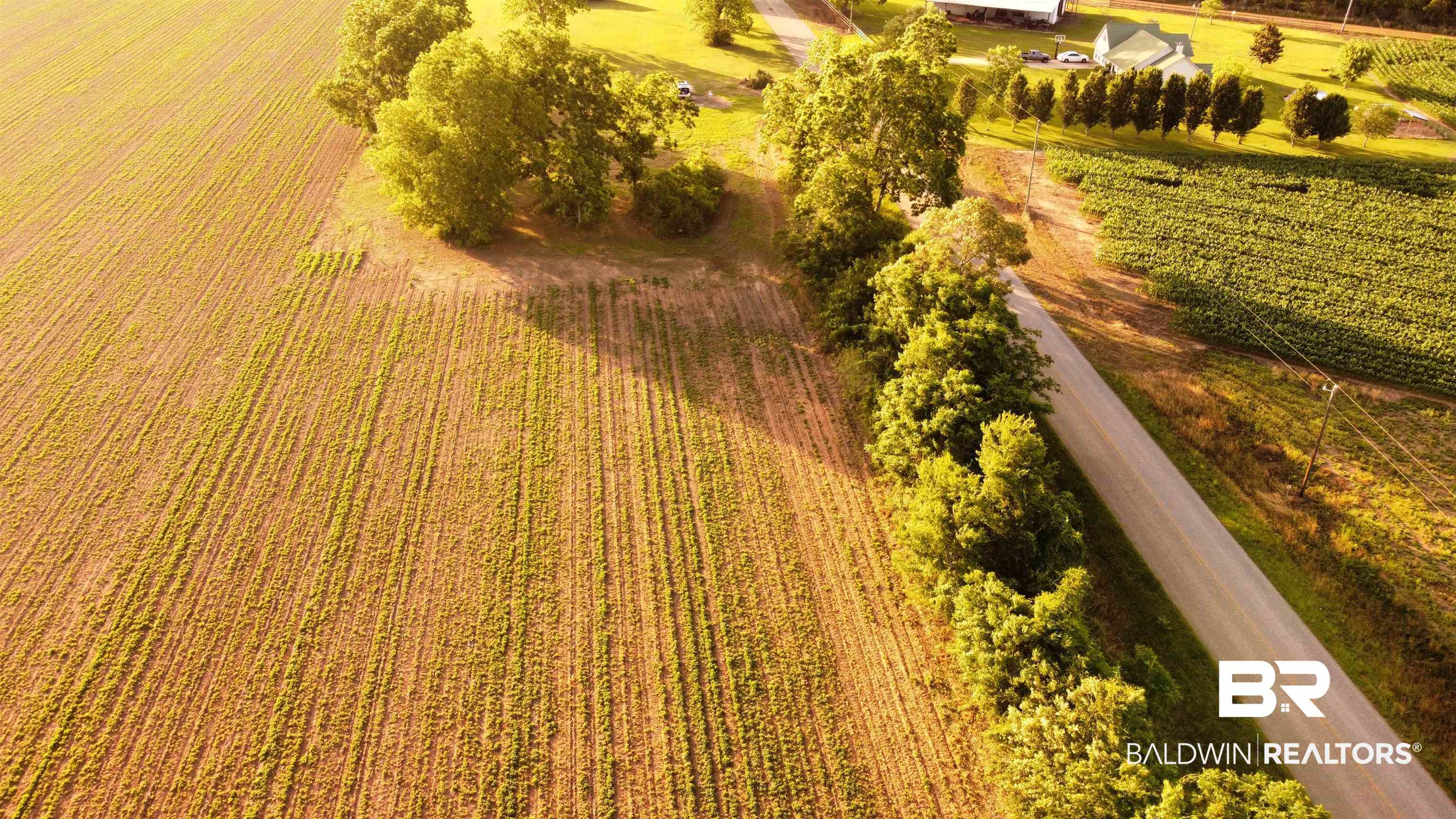 3595 Sardine Road Brewton, AL 36426 - Photo 6 of 9 Aerial view of sparsely populated area featuring extensive farmland