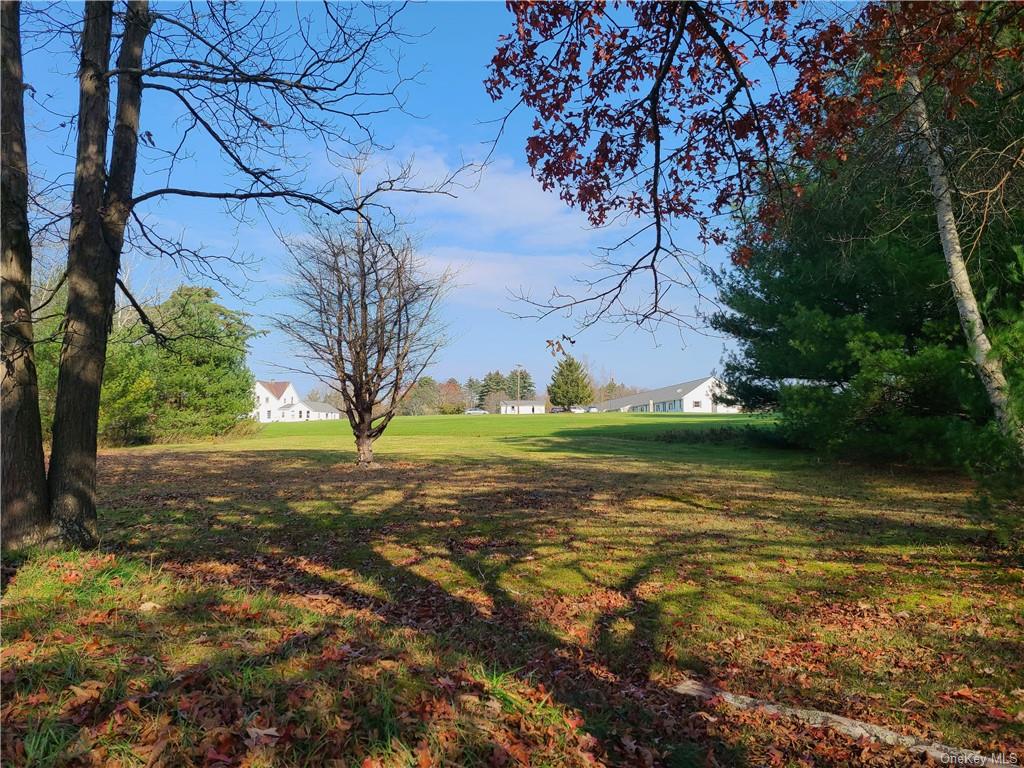 22 Arrowhead Apartments Road Narrowsburg, NY 12764 - Photo 11 of 34 a view of a trees with yard