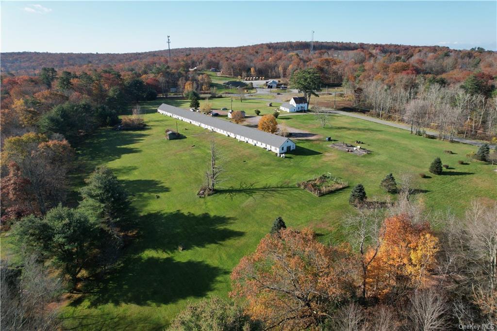 22 Arrowhead Apartments Road Narrowsburg, NY 12764 - Photo 10 of 34 an aerial view of green landscape with trees houses and mountain view